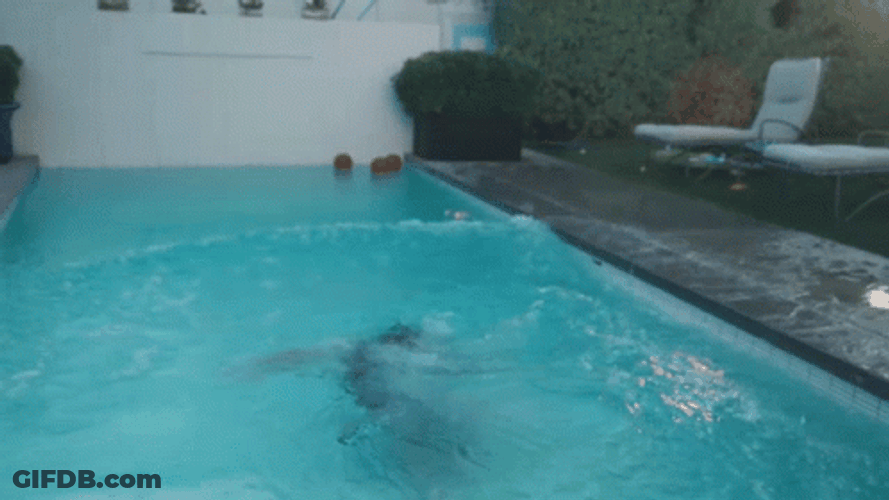 Staying Cool In The Pool With Zeus Conin GIF