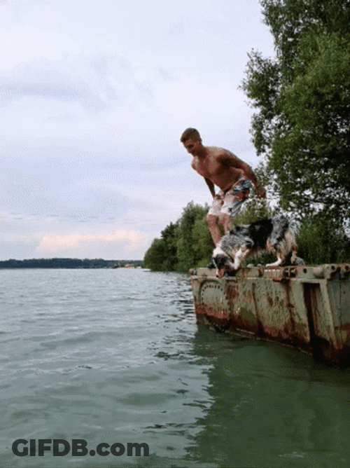 Staying Cool With My Dog In The Beach GIF