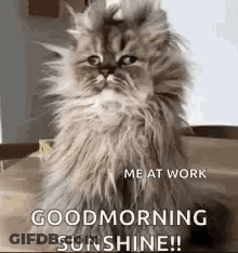 Staying Up Late Watching TikTok GIF
