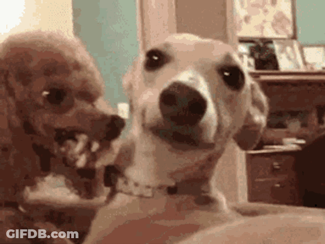 Stayonyoursideofthecar Dudemoveover GIF