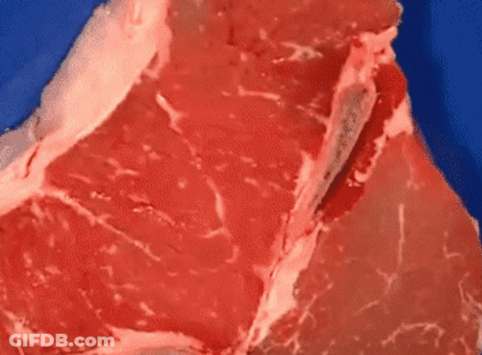 Steak Mistake Frustrated Lady GIF