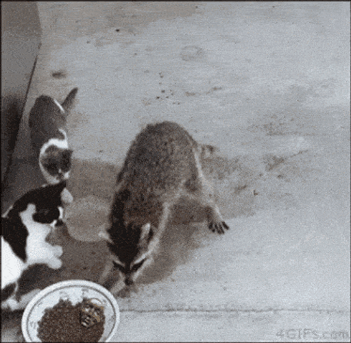 Steal It Back GIF