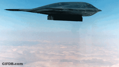 Stealth Bomber Flying With Two Stuffed Animals Attached GIF