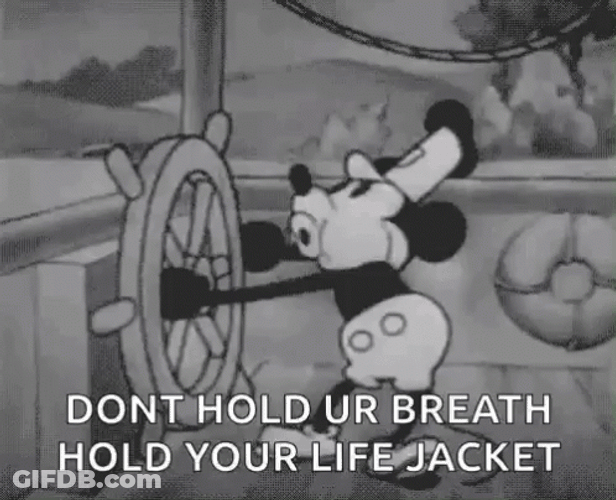 Steamboat Willie Mickey Mouse GIF