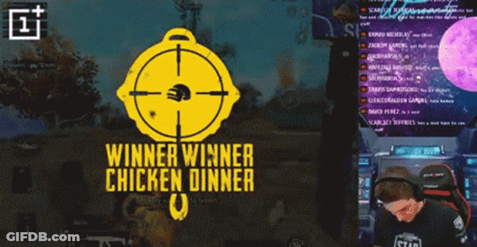 Steamer Winner Winner Chicken Dinner In Pubg GIF