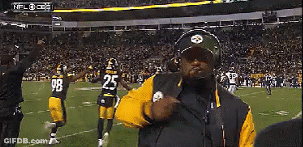Steelers Mike Tomlin Pointing At The Camera GIF
