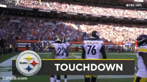Steelers Vs Browns Football Touchdown GIF