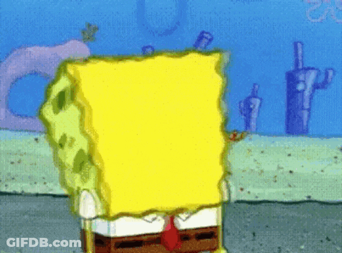 Stefaknee GIF