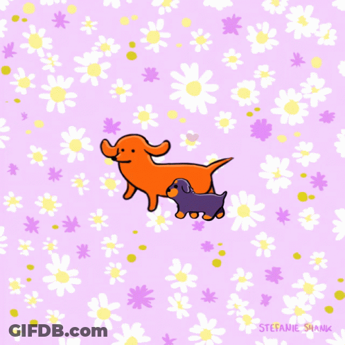 Stefanie Shank Drawing Of Two Dogs And Daisies GIF