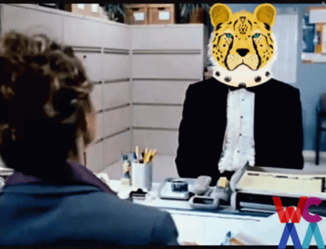 Step Brothers Interview Tiger Faces Meme GIF