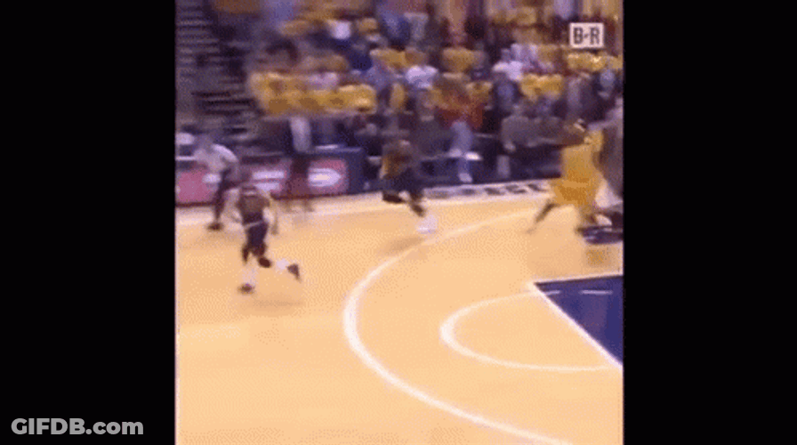 Steph Curry Dunk Lion GIF