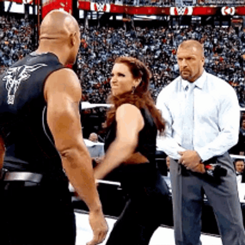 Stephanie Mcmahon Face Slap GIF
