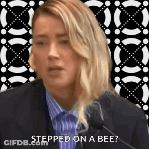 Stepped On A Bee Meme GIF