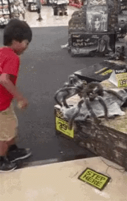 Stepping On A Scary Spider GIF