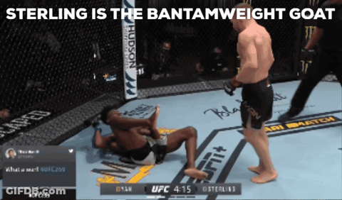 Sterling Bantamweight Goat Boxing Match GIF