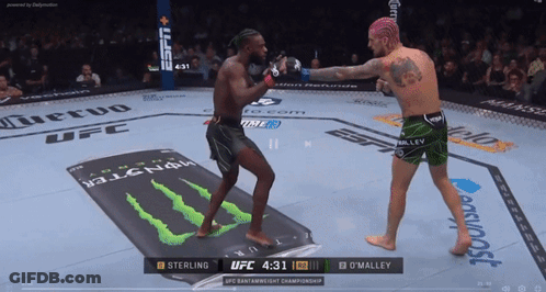 Sterling Vs O'Malley Boxing Match GIF