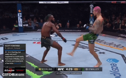 Sterling Vs O'Malley UFC Fight On ESPN GIF