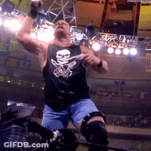 Steve Austin Chugging Beer GIF