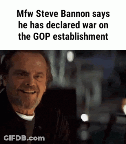 Steve Bannon Says He Has Declared War On The Gop Establishment . GIF
