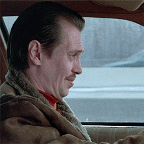 Steve Buscemi Driving GIF