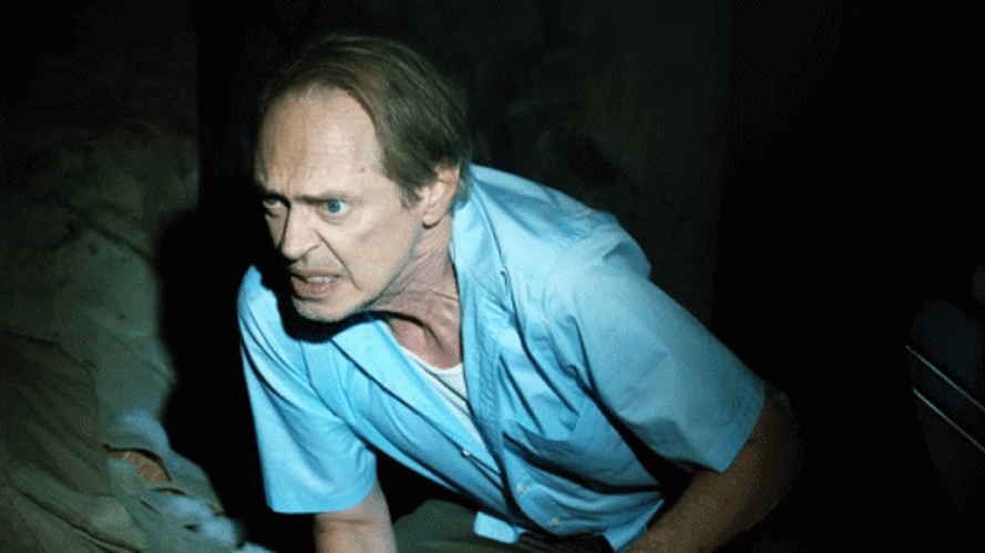 Steve Buscemi Hubie Halloween GIF