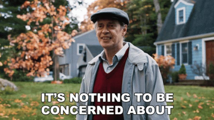 Steve Buscemi Nothing To Be Concerned About GIF