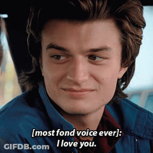 Steve Harrington I Love You GIF