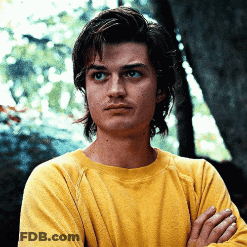 Steve Harrington Nod GIF