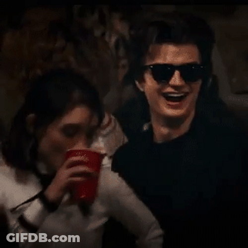 Steve Harrington Party GIF