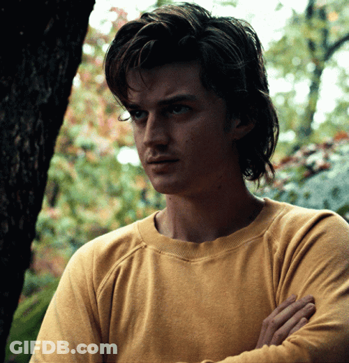 Steve Harrington What GIF