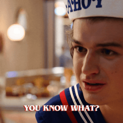 Steve Harrington You Know What GIF