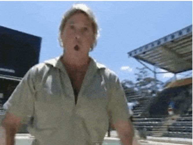 Steve Irwin Fist Pump GIF