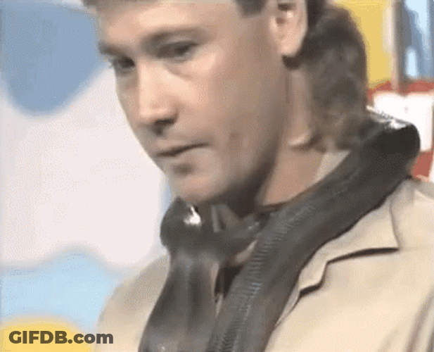 Steve Irwin Getting Bitten By Snake GIF