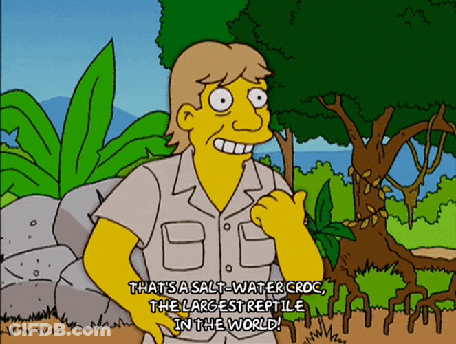 Steve Irwin On The Simpsons GIF