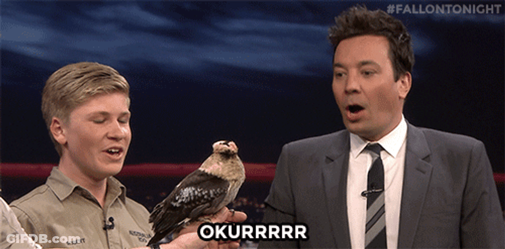 Steve Irwin GIF