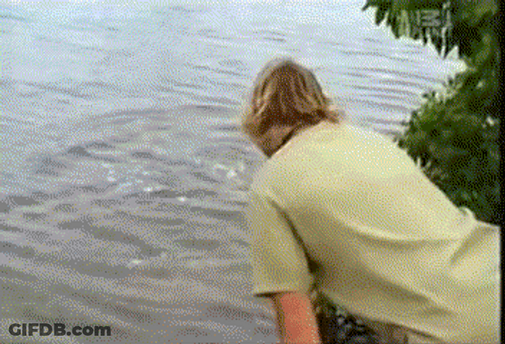 Steve Irwin Two Thumbs Up GIF