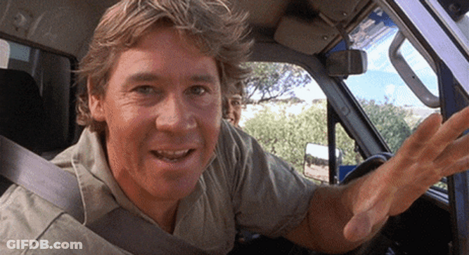 Steve Irwin Winking GIF