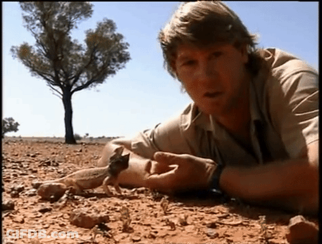 Steve Irwin With A Lizard GIF