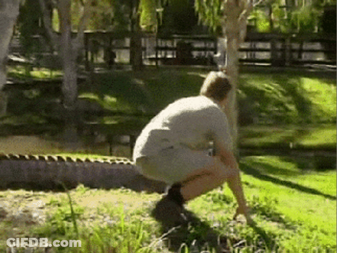 Steve Irwin With Crocodile GIF