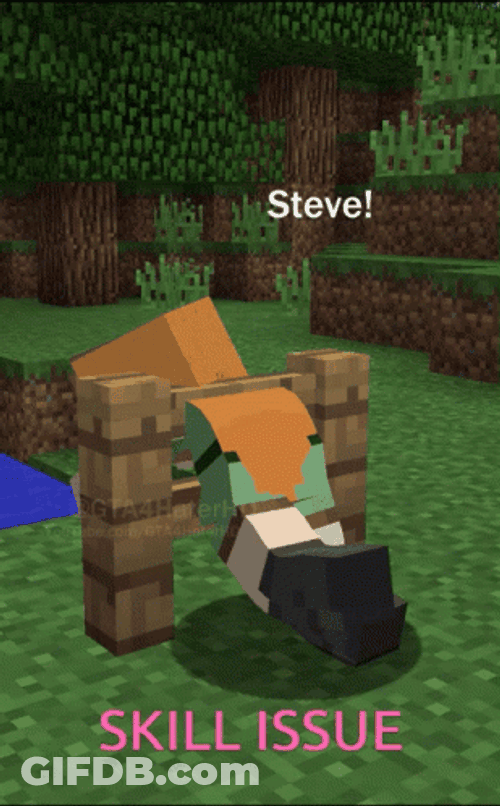 Steve Minecraft Skill Issue GIF