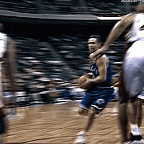 Steve Nash Goal GIF