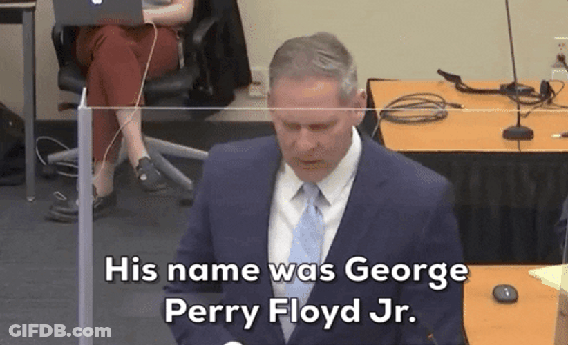 Steve Schleicher His Name Was George Floyd GIF