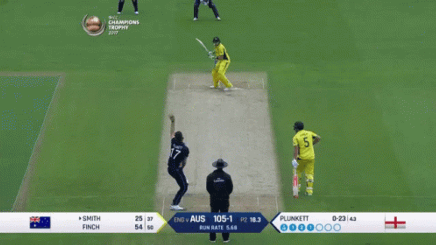 Steve Smith Best Batsman Cricket GIF