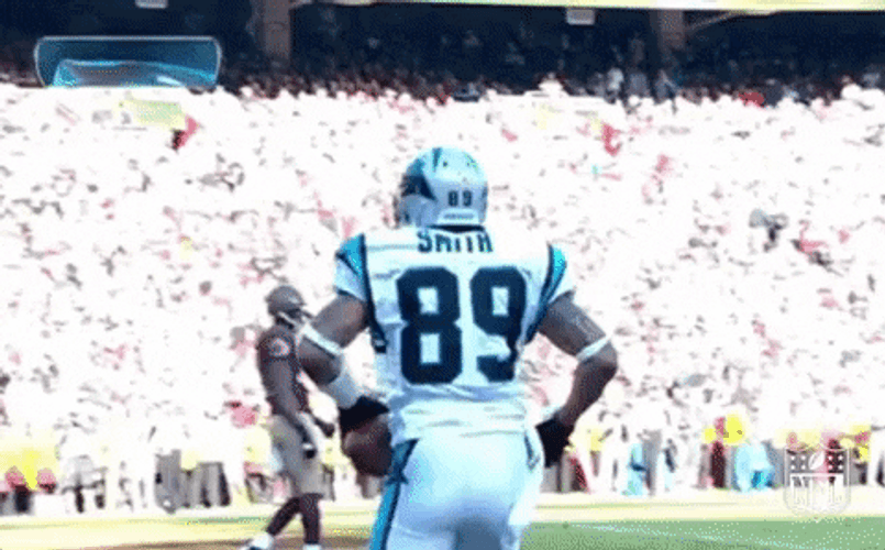 Steve Smith Football Touchdown Dance GIF