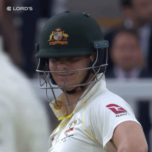 Steve Smith Nodding Head GIF