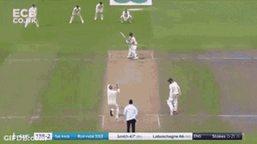 Steve Smith Steve Smith Cricket GIF