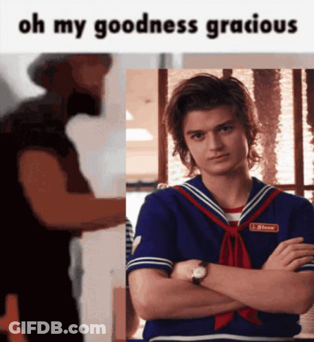 Steve Stranger Things Oh My Goodness Gracious GIF