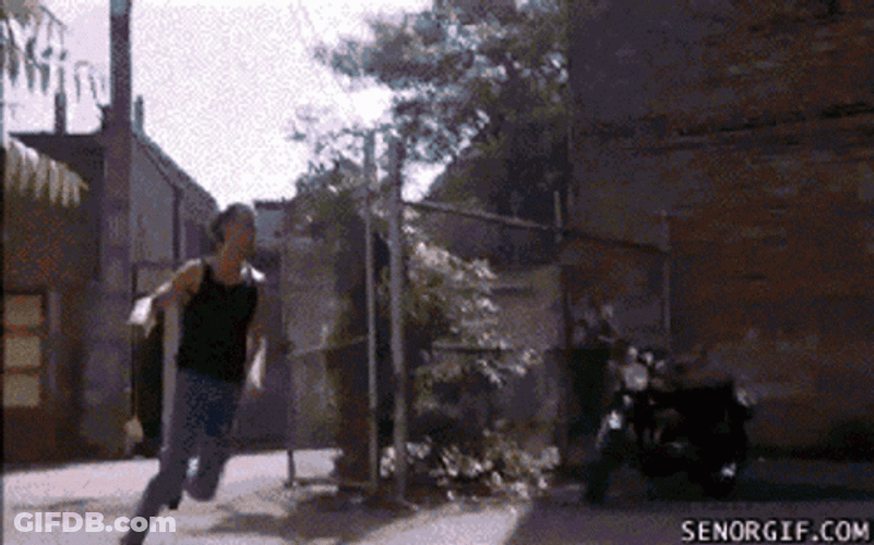 Steven Seagal GIF