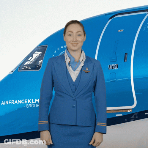 Stewardess In Front Of Blue Air France KLM Plane GIF