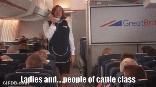 Stewardess Talking Ladies And People Of Cattle Class GIF